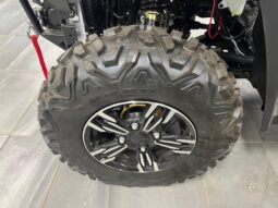 
										2024 Massimo MSA 760  4×4 full									