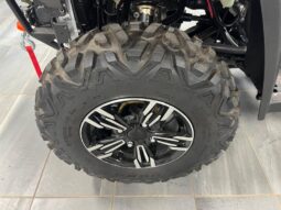 
										2024 Massimo MSA 760  4×4 full									