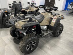 
										2023 Massimo MSA 550  4×4 full									