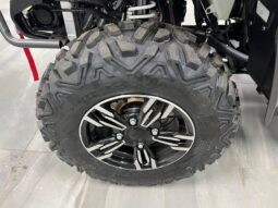 
										2023 Massimo MSA 550  4×4 full									