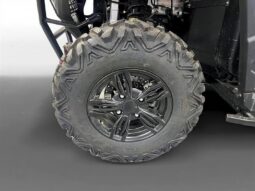 
										2023 MASSIMO T-Boss 550 4×4 full									