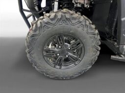 
										2023 MASSIMO T-Boss 550 4×4 full									